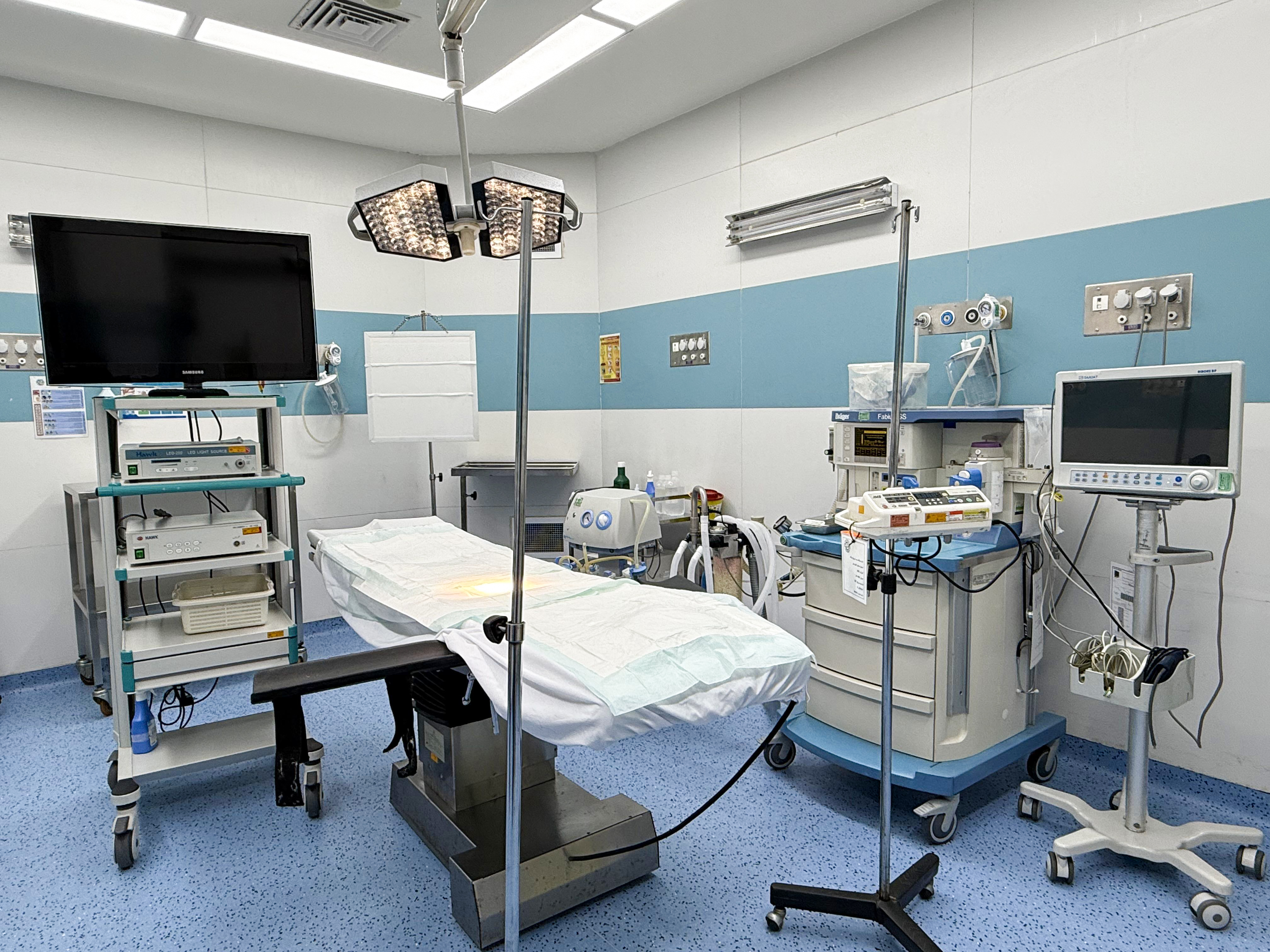 Neurology Services